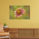 Suche nach indianer poster Natur