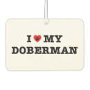 Suche nach dobermann pinscher wohnen zuhause Welpe