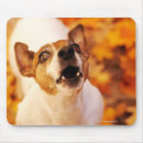 Suche nach fokus mousepads Hohe winkelsicht