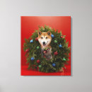 Suche nach shiba inu leinwandbilder Innerhalb von