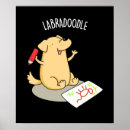 Suche nach labradoodles poster Niedlicher hund