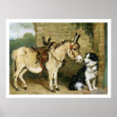 Suche nach vintage animal poster Tiere