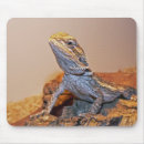 Suche nach bärtigen mousepads Fotografie