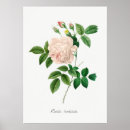 Suche nach vintage flower poster Illustration