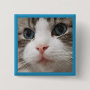 Suche nach nase buttons Katze