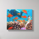 Suche nach tauchen an poster leinwandbilder Taucher