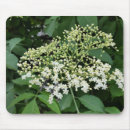 Suche nach altes mousepads Blume
