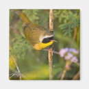 Suche nach männchen magnete Frühling