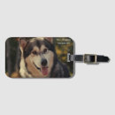 Suche nach schlittenhund accessoires Haustier