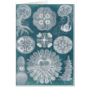 Suche nach meereswelt postkarten Blaupausen