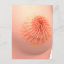 Suche nach anatomy postkarten Brust