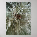 Suche nach kiefern poster Schnee