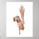 Suche nach weimaraner poster Niedlich