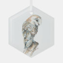 Suche nach eule oder nichts schmuck Aquarell