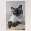 Suche nach siamese cat puzzle Katzenliebhaber