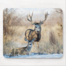 Suche nach maultiere mousepads Tun
