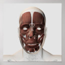 Suche nach schulter poster Medizin