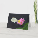 Suche nach schmetterlings karten Weiß