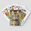 Suche nach bengalisch spielkarten Katze