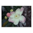 Suche nach amazonas postkarten Tropisch