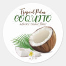 Suche nach kokosnussbaum Palme