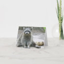 Suche nach waschbär kleine grußkarten Tier