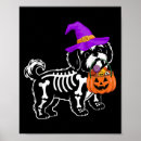 Suche nach shih tzu hunde poster Niedlich