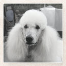 Suche nach pudel untersetzer Hund