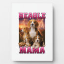 Suche nach beagle fotoplatten Tier