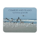 Suche nach möwe magnete Strand