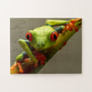 Suche nach rote augen puzzle Natur
