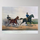 Suche nach schwarze pferde poster Reiten