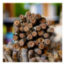 Suche nach rio poster Neues mexiko