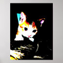 Suche nach katzenbilder poster Niedliche katze