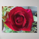 Suche nach makro poster Rot