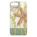 Suche nach seashell Tritonshorn seashell