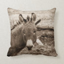 Suche nach donkey kissen Nutztiere