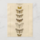 Suche nach birdie poster Vintag