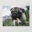 Suche nach lustige mops karten Niedlich