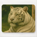 Suche nach große katzen mousepads Tierfotografie