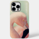 Suche nach florida iphone hüllen Natur