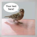 Suche nach spatz poster Niedlich