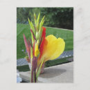 Suche nach duftende postkarten Blüte