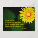 Suche nach dandelions postkarten Flora