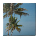 Suche nach sandstrand fliesen Belize