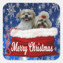 Suche nach shihtzu aufkleber Welpen