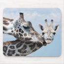 Suche nach kälber mousepads Horizontal