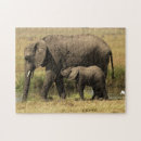 Suche nach afrikanischer elefant puzzle Kalb