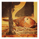 Suche nach gedulds poster Natur