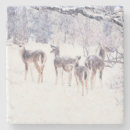 Suche nach hirsch untersetzer Schnee